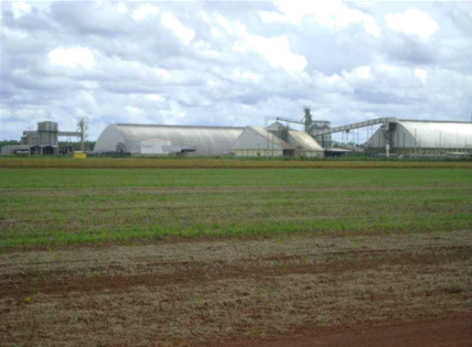 FAZENDA DAMHA
