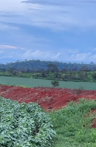 Propriedade rural